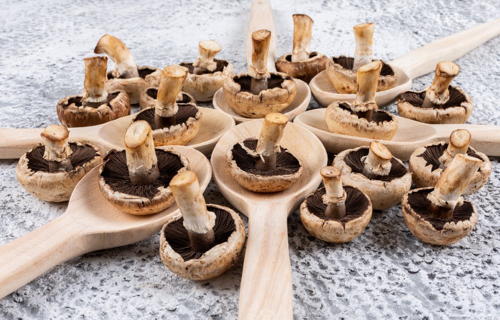 Nutritional and Medicinal mushrooms Value