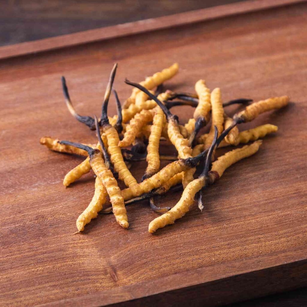 Aging and How Cordyceps Militaris Helps