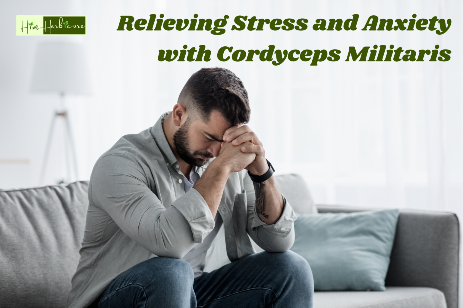 Relieving Stress and Anxiety with Cordyceps Militaris: A Natural Path to Mental Well-Being