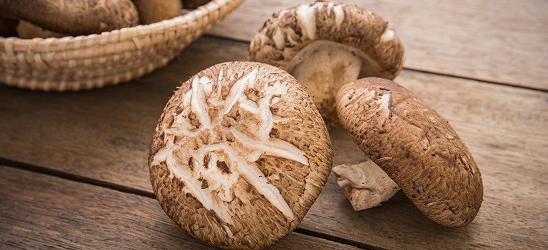 Shiitake Mushroom