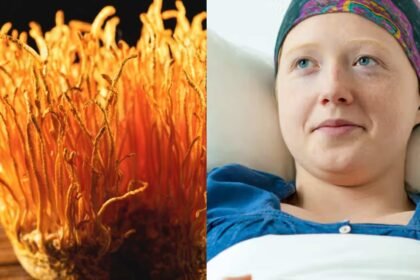 Cordyceps Militaris: Nature’s Gift in the Fight Against Cancer